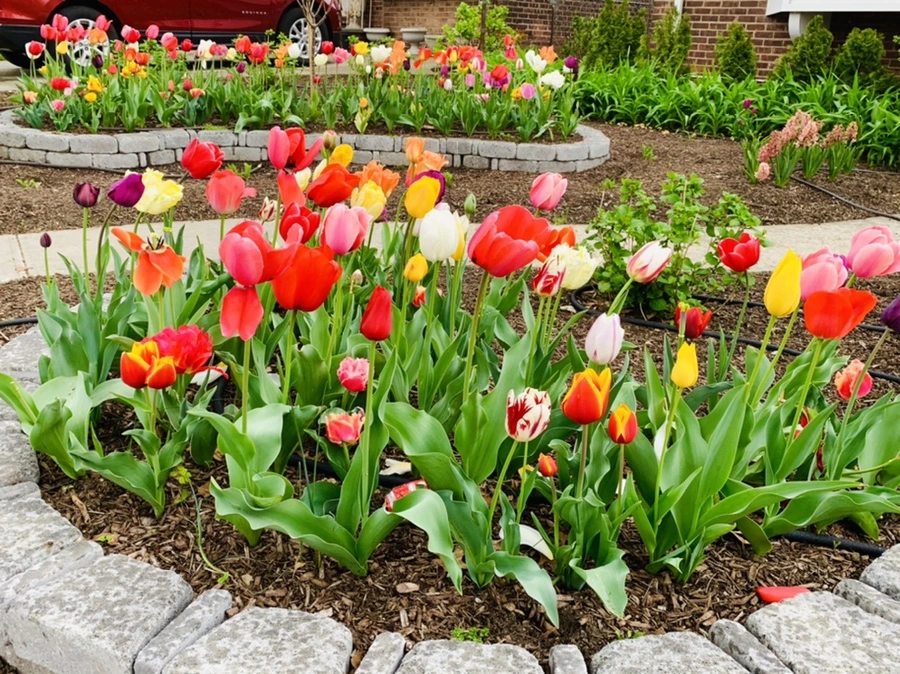 IMG_3982.jpg?type=w966