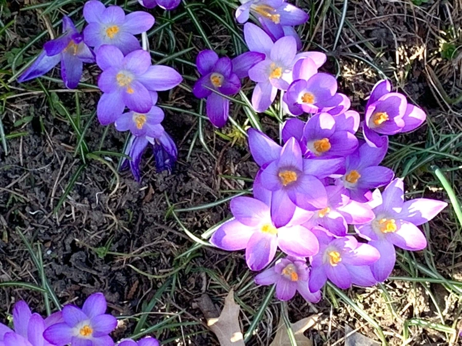 IMG_0204.jpg?type=w966