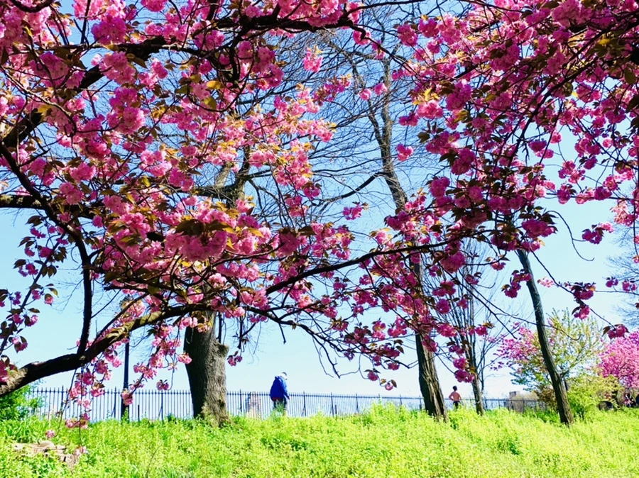 IMG_5918.jpg?type=w966