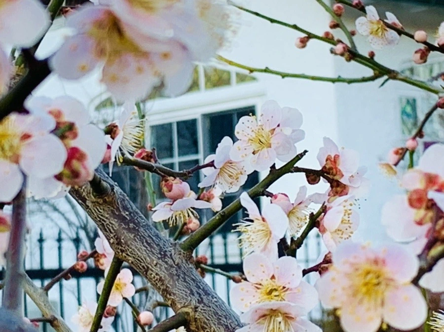 6csj4a_TaCJfvQ_bssYHJH2SKgM