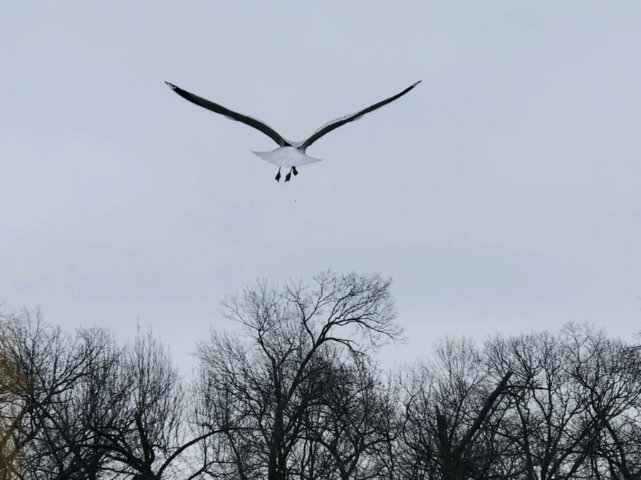 IMG_3274.jpg?type=w966