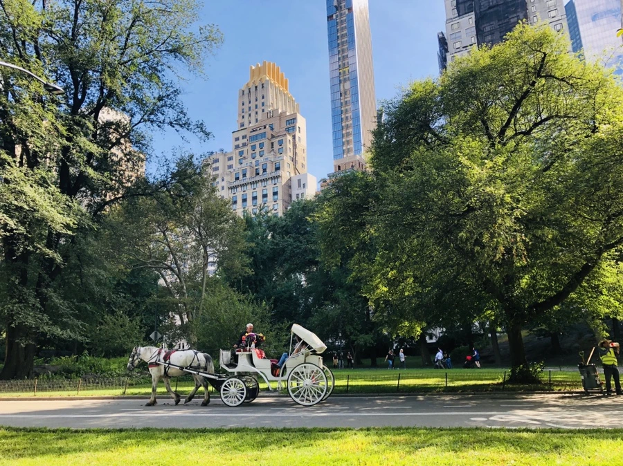 IMG_0082.jpg?type=w966