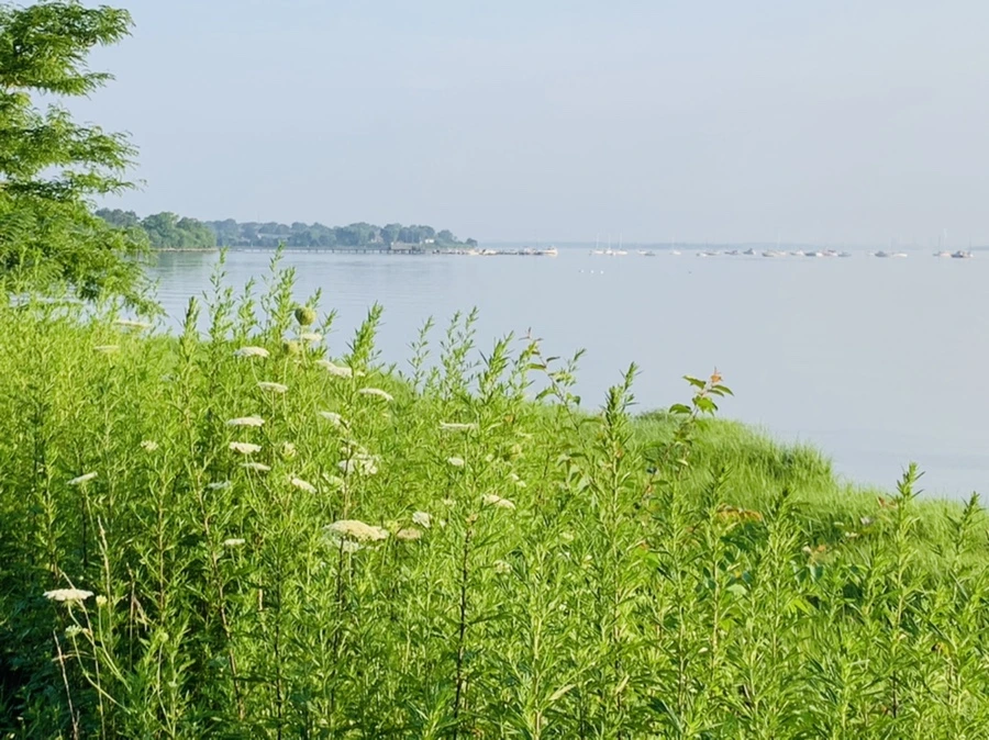 IMG_6470.jpg?type=w966