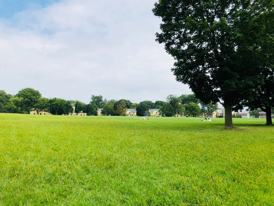 IMG_3858.jpg?type=w966