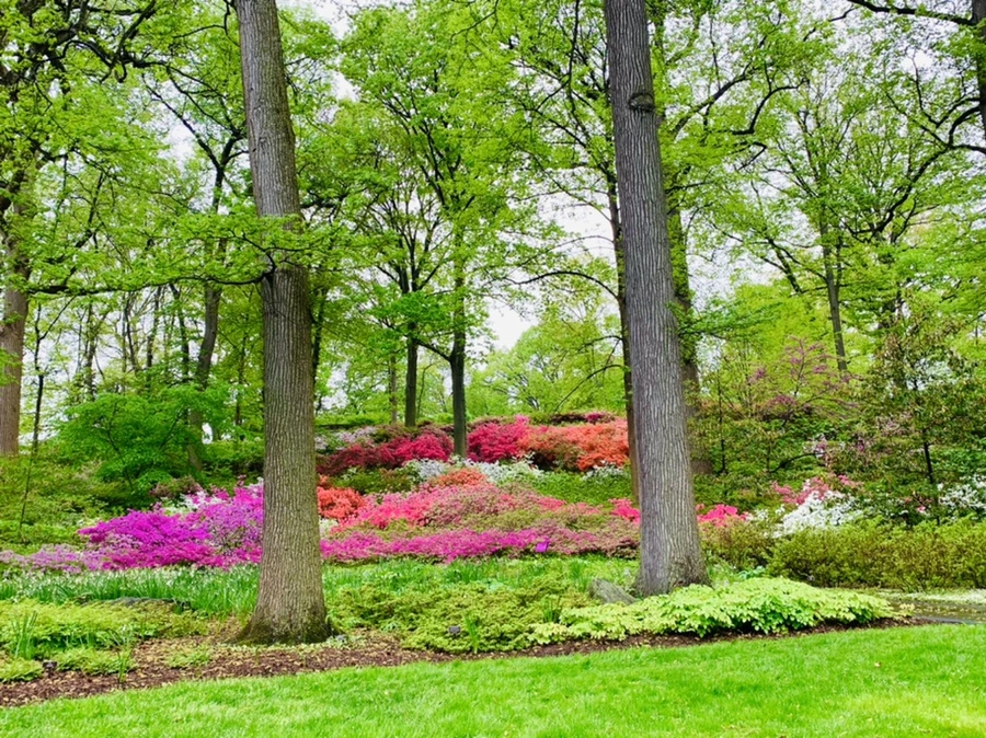 IMG_9938.jpg?type=w966