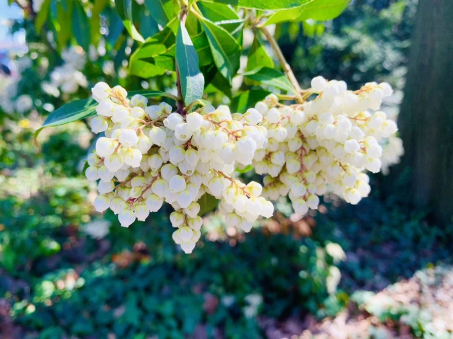 IMG_5652.jpg?type=w966