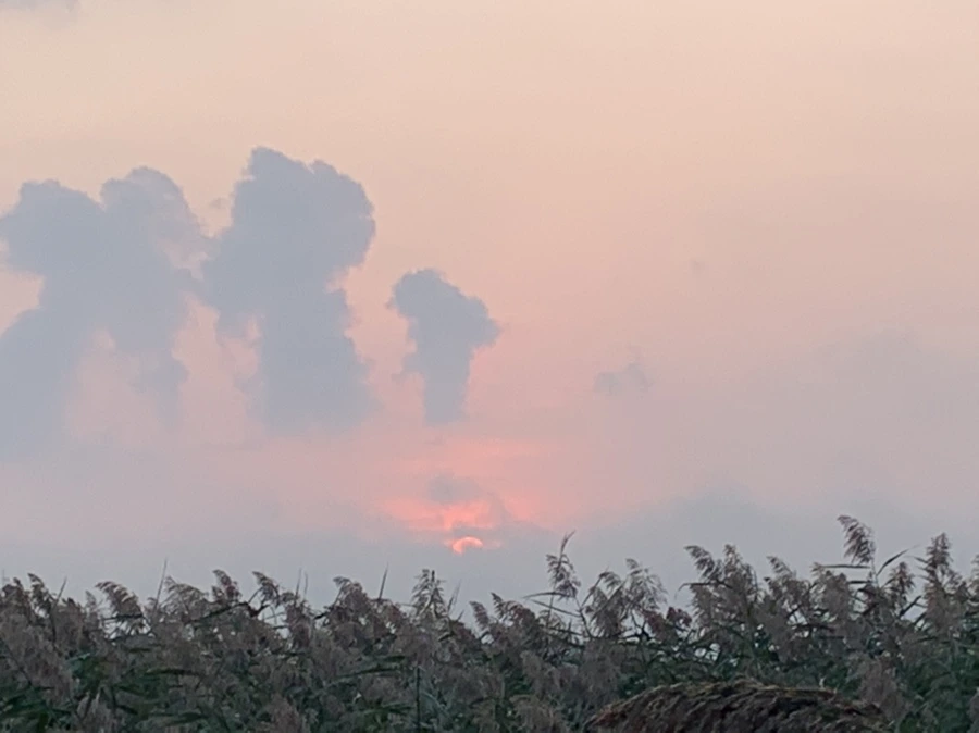 IMG_1059.jpg?type=w966