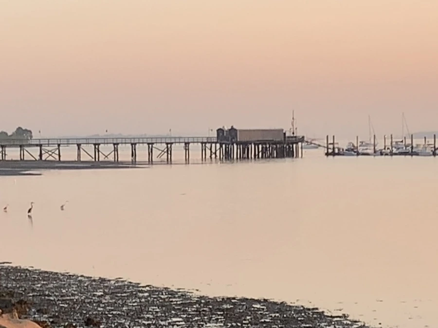 IMG_7209.jpg?type=w966