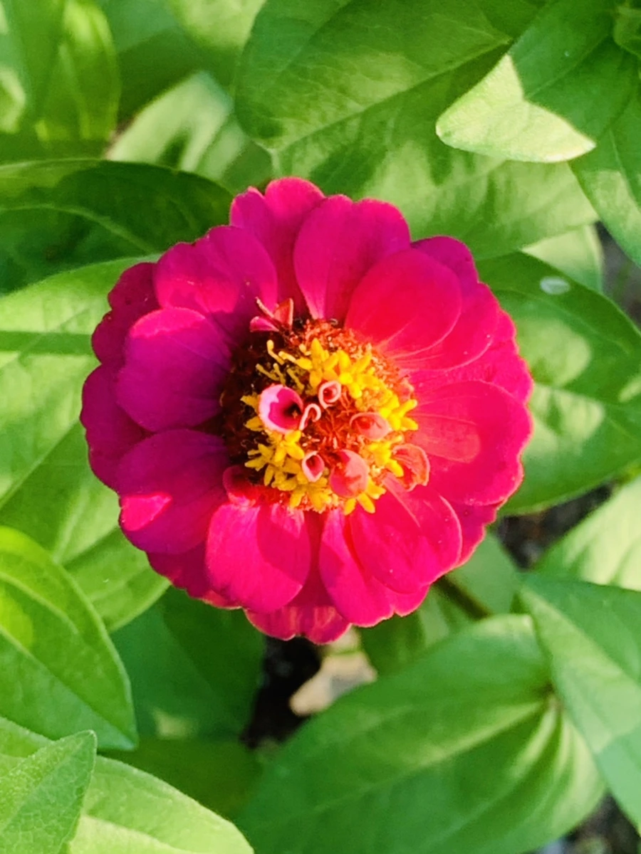 IMG_8282.jpg?type=w966