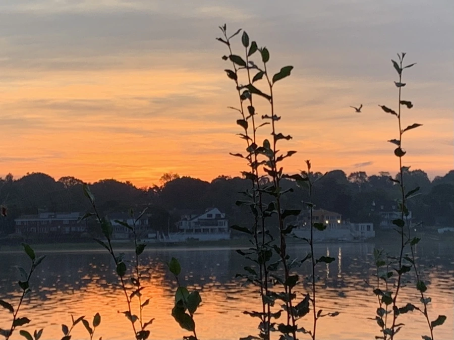 IMG_6780.jpg?type=w966