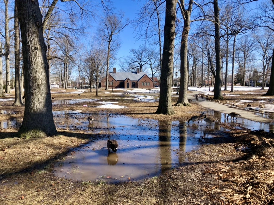 IMG_4980.jpg?type=w966