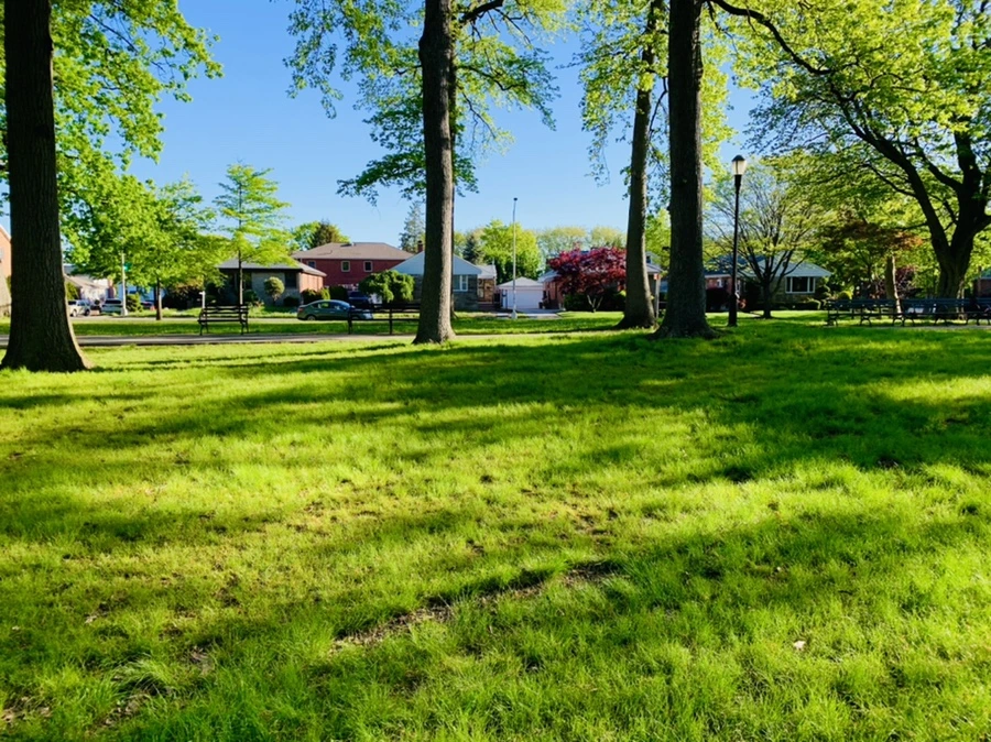 IMG_2170.jpg?type=w966