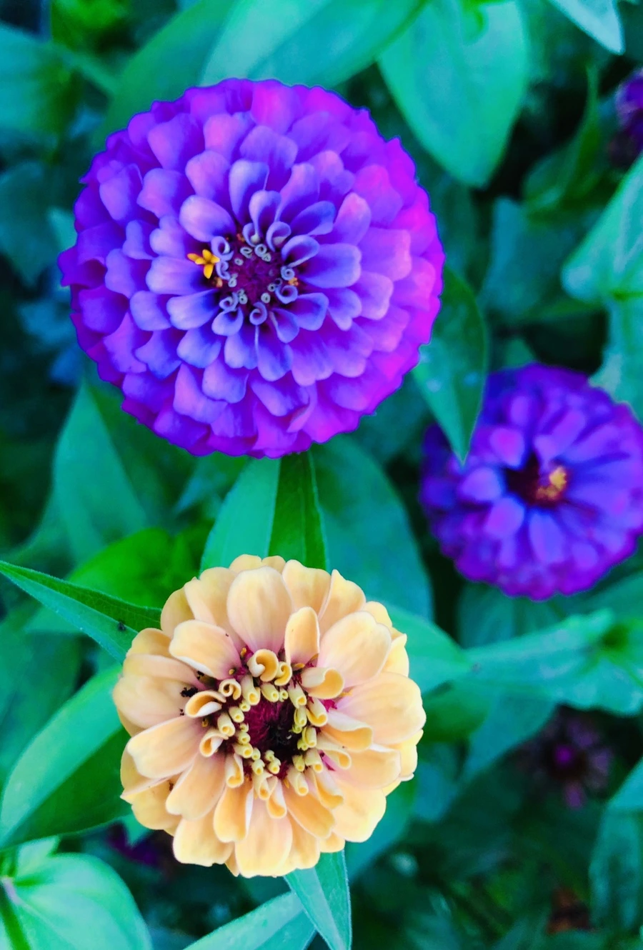 IMG_3643.jpg?type=w966