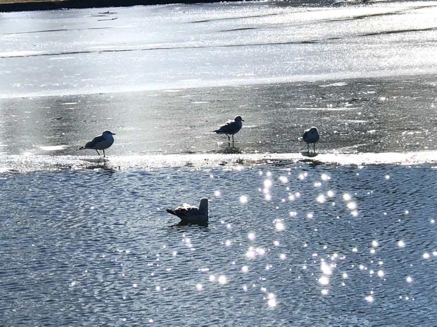 IMG_6820.jpg?type=w966