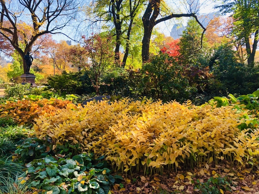 IMG_4242.jpg?type=w966