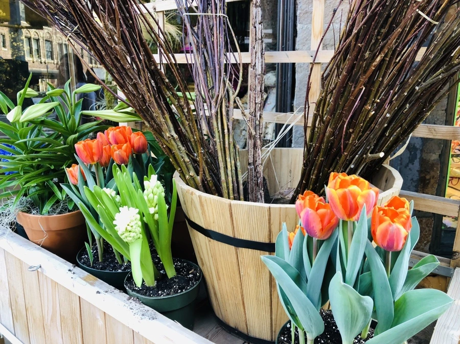 IMG_2876.jpg?type=w966