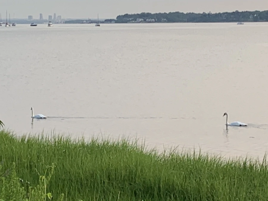 IMG_4752.jpg?type=w966