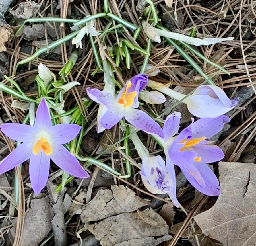 IMG_9733.jpg?type=w966