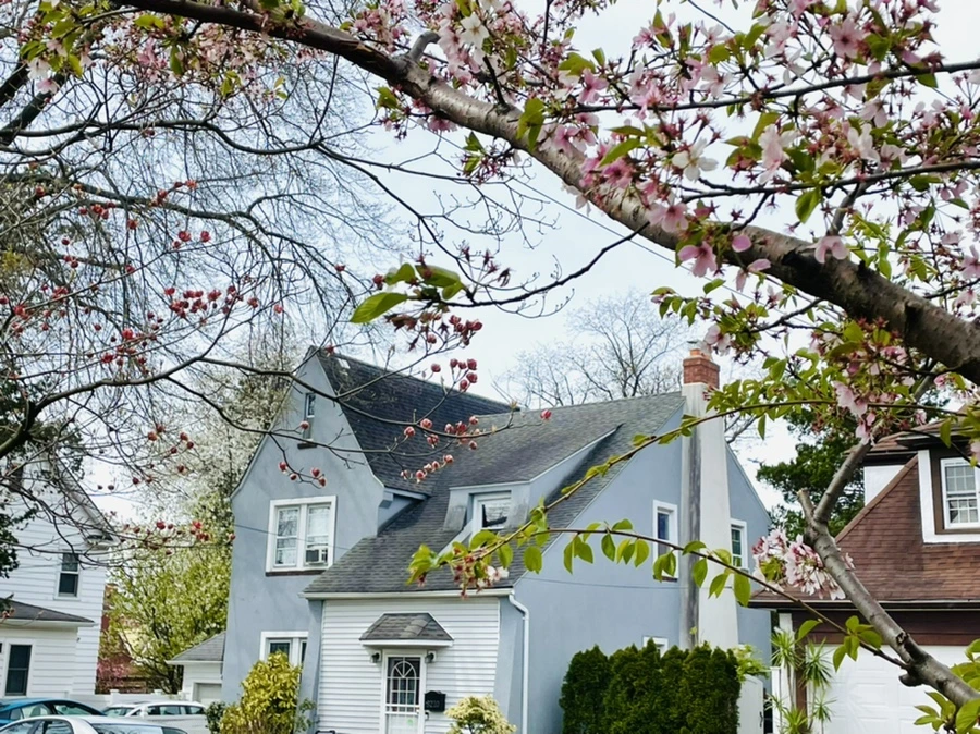 IMG_1184.jpg?type=w966