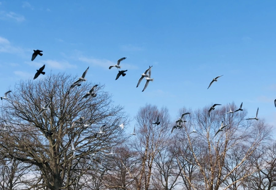 IMG_4706.jpg?type=w966