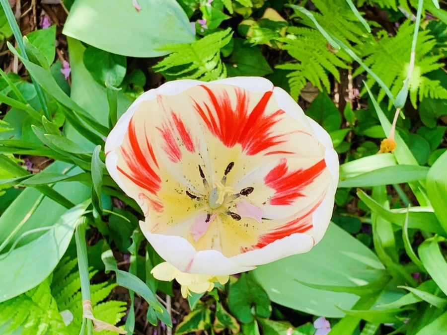 IMG_6875.jpg?type=w966