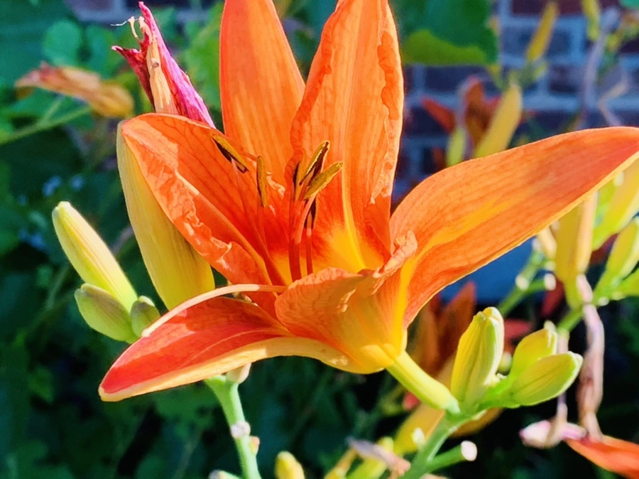 IMG_4857.jpg?type=w966