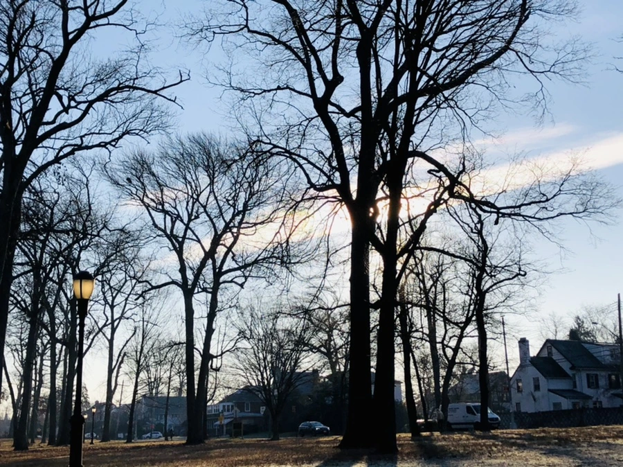 IMG_2225.jpg?type=w966