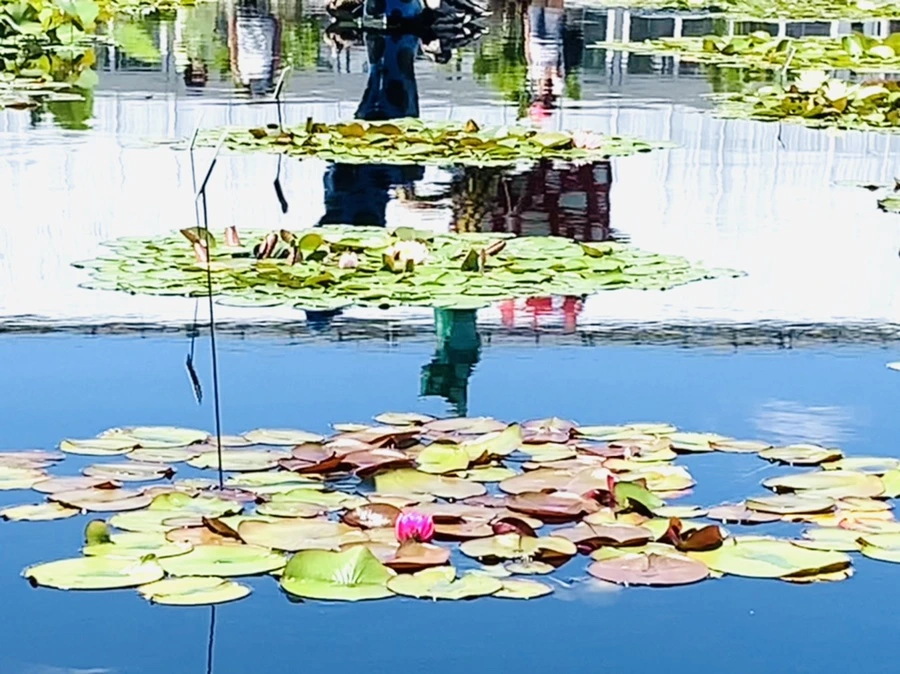 IMG_4649.jpg?type=w966