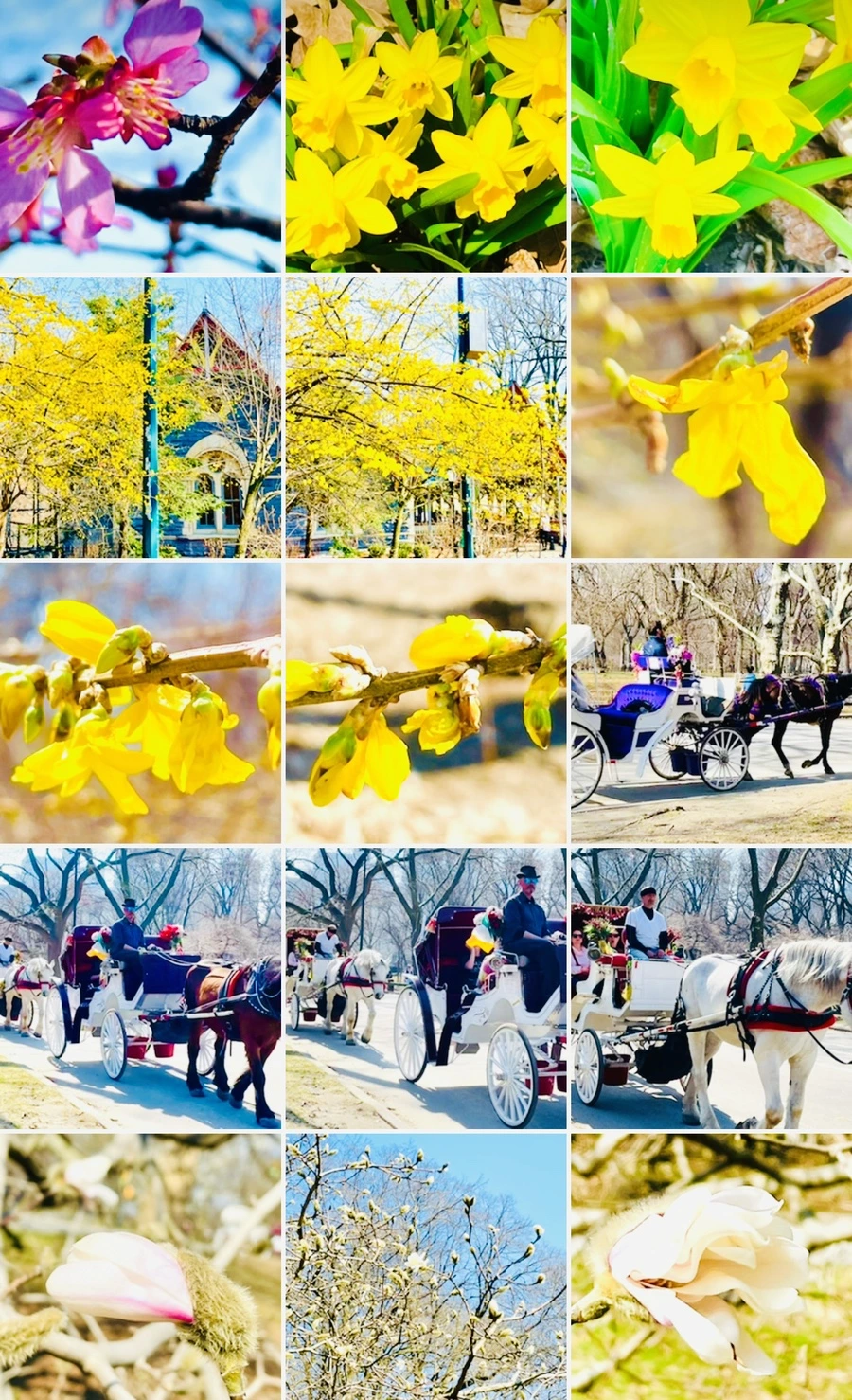 IMG_5651.jpg?type=w966