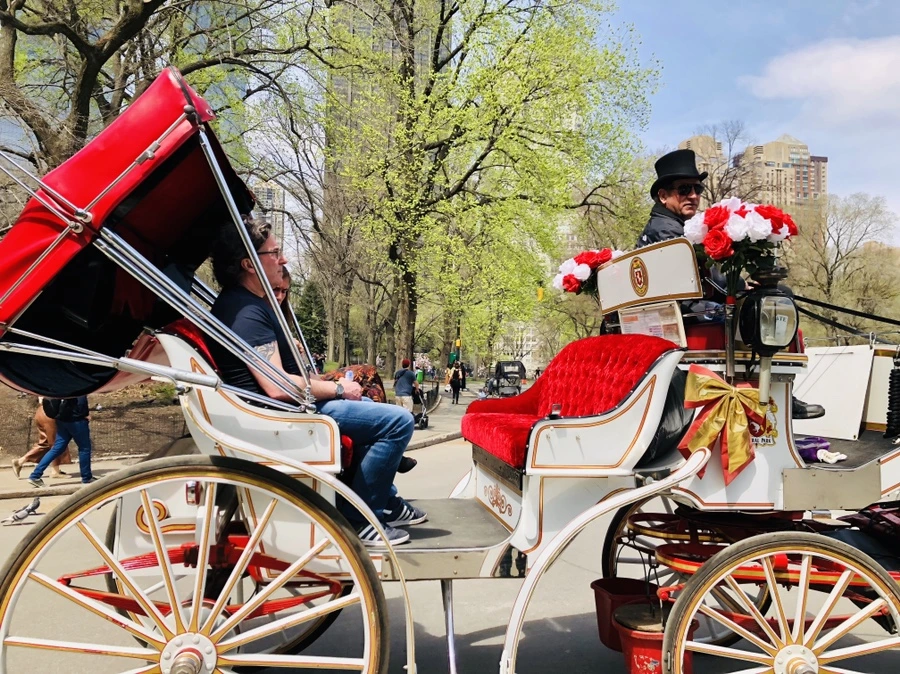 IMG_2934.jpg?type=w966