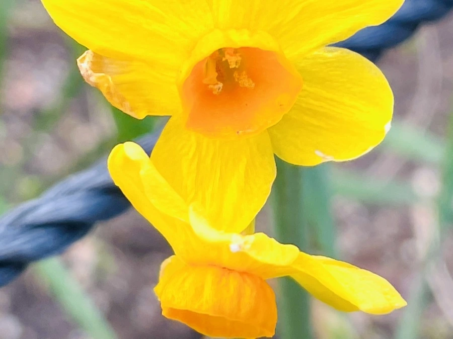 IMG_0392.jpg?type=w966