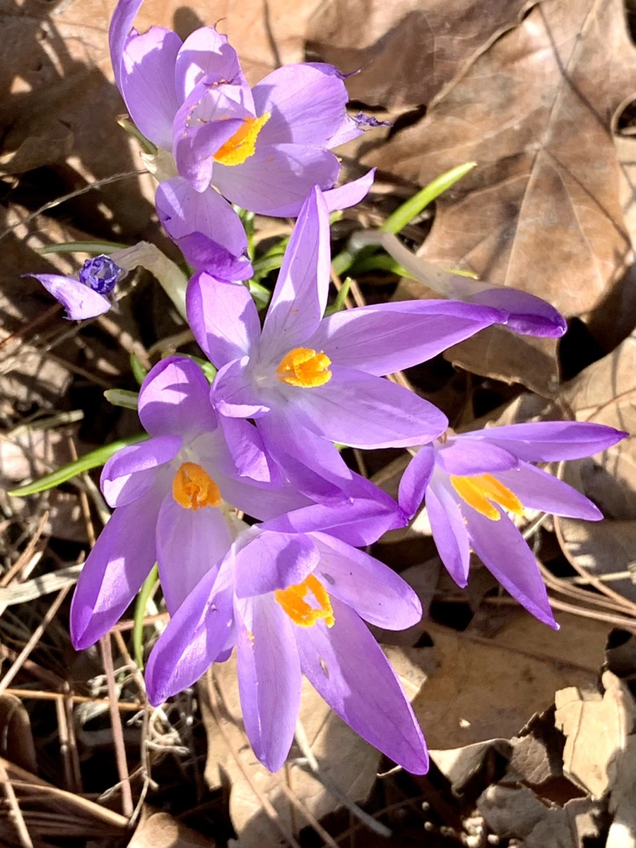 IMG_9629.jpg?type=w966