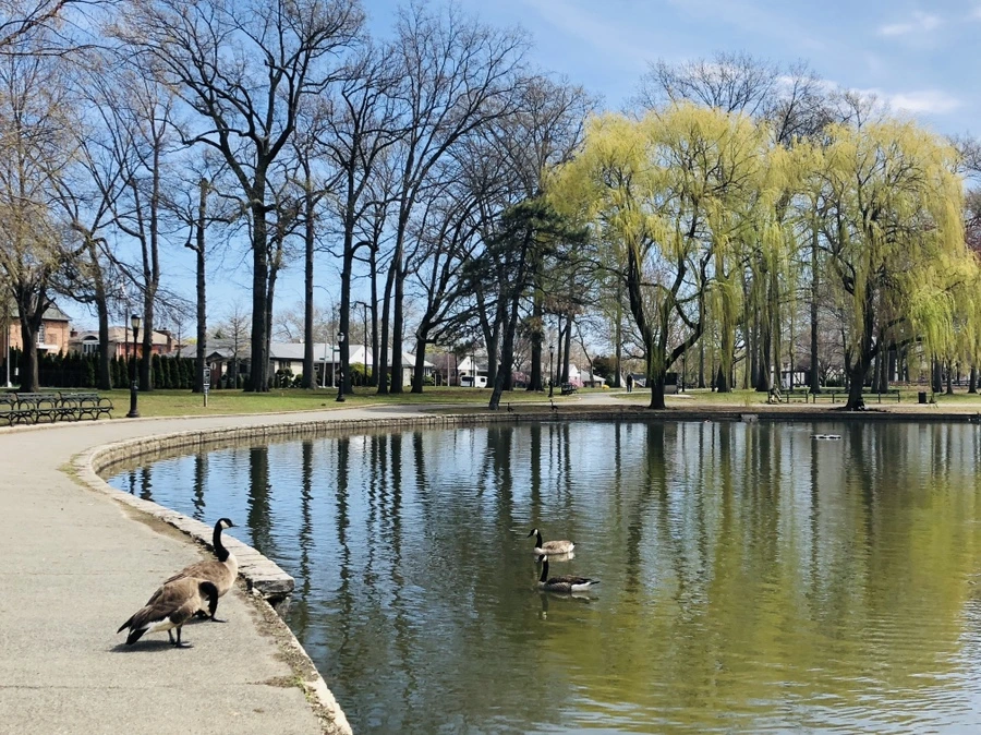 IMG_3082.jpg?type=w966