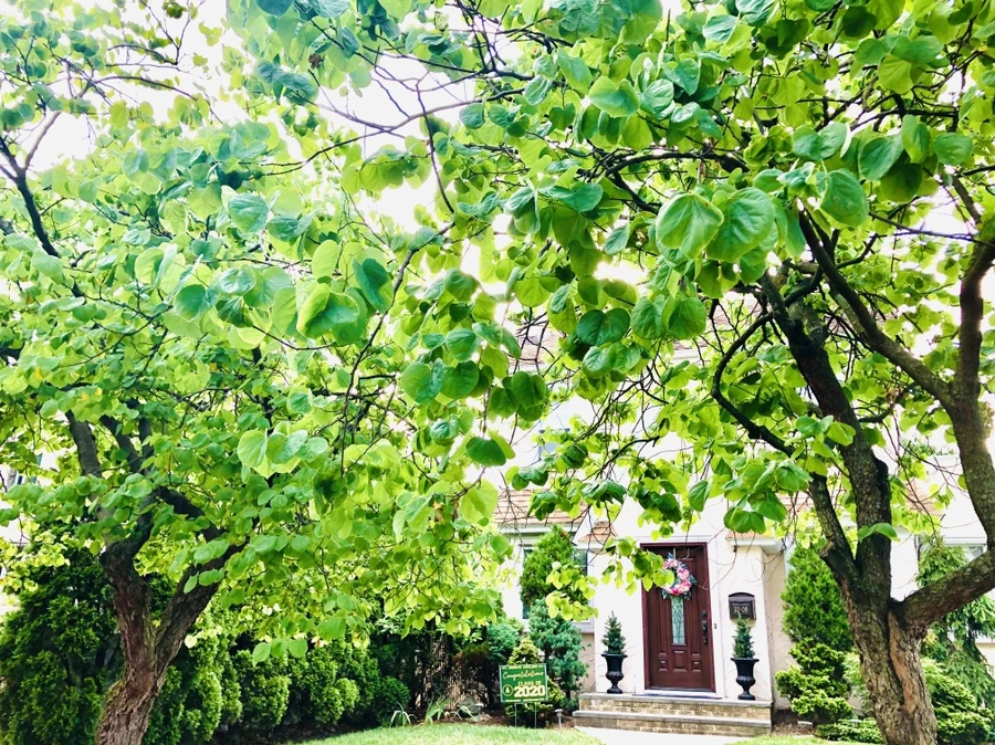 IMG_0826.jpg?type=w966