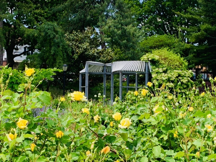 IMG_5834.jpg?type=w966