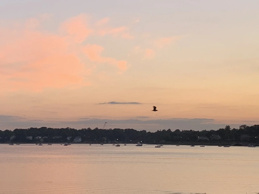 IMG_8745.jpg?type=w966