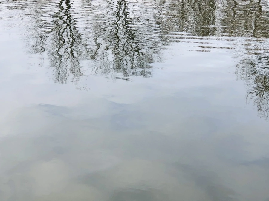 IMG_9878.jpg?type=w966