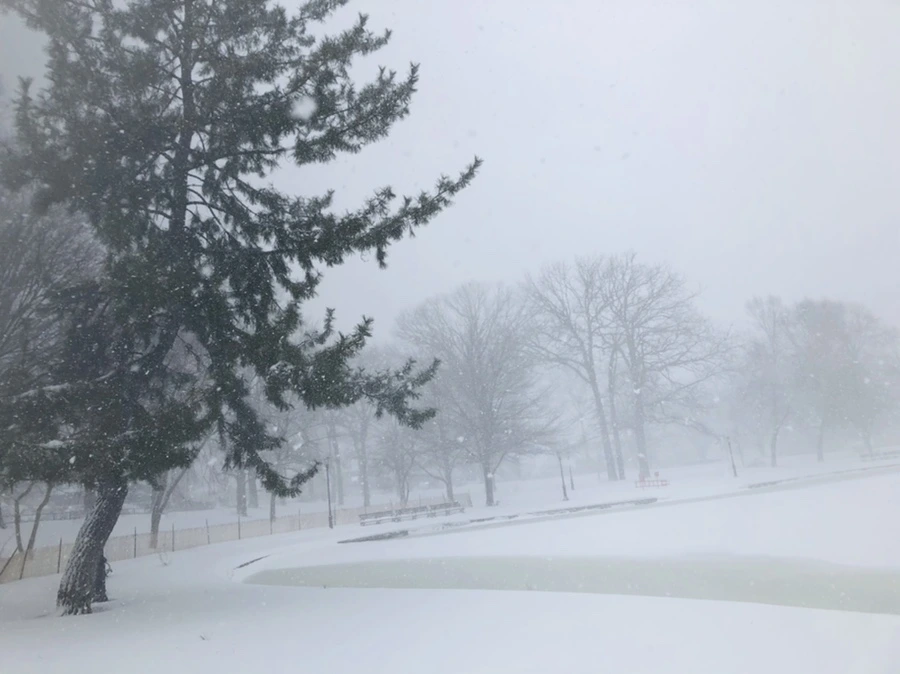 IMG_8818.jpg?type=w966