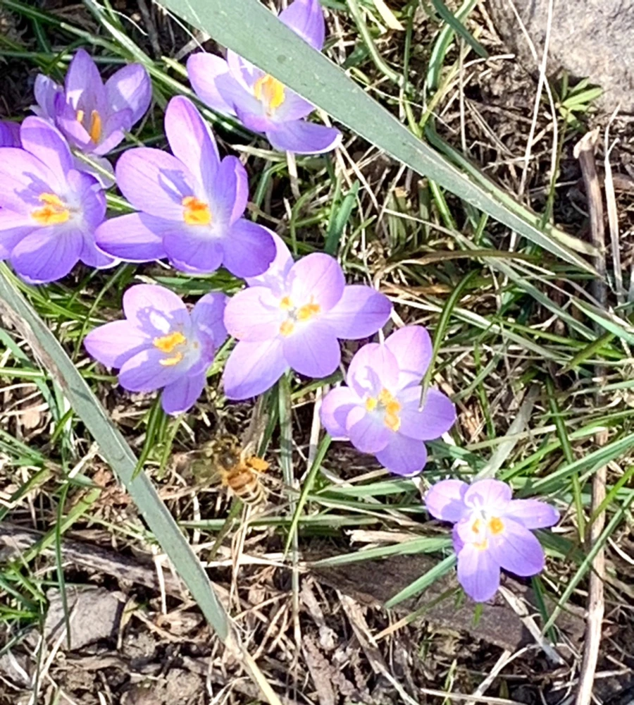 IMG_0220.jpg?type=w966