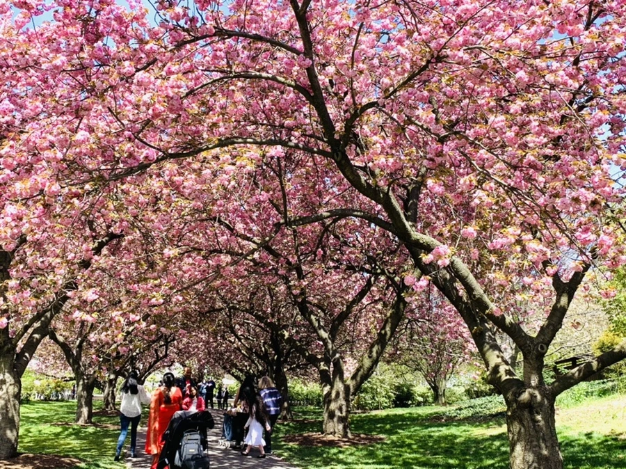 IMG_6477.jpg?type=w966