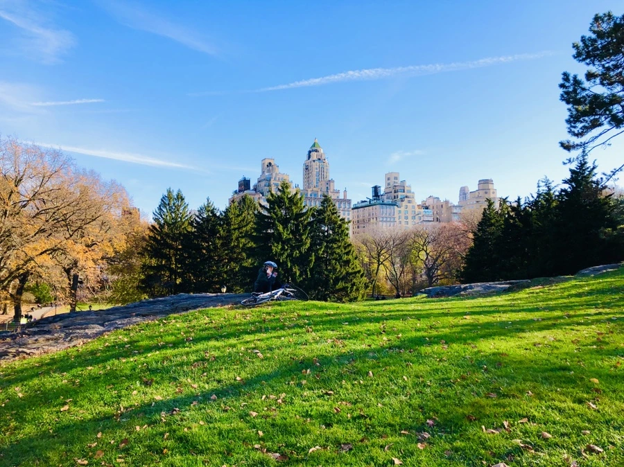 IMG_5306.jpg?type=w966