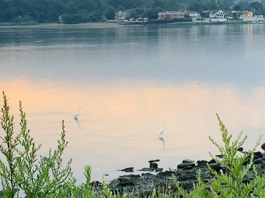 IMG_0257.jpg?type=w966