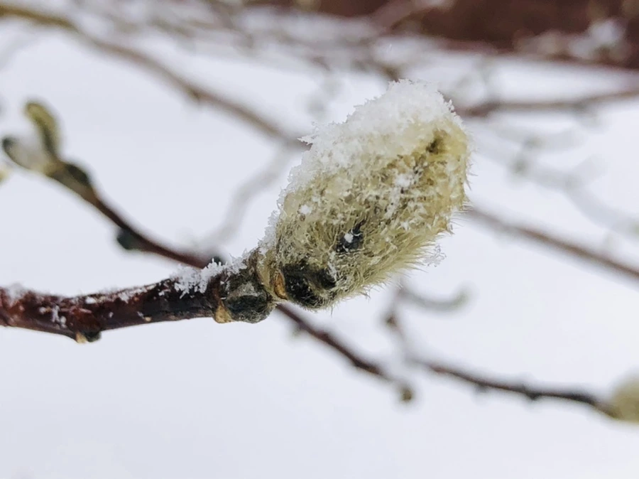 IMG_3564.jpg?type=w966