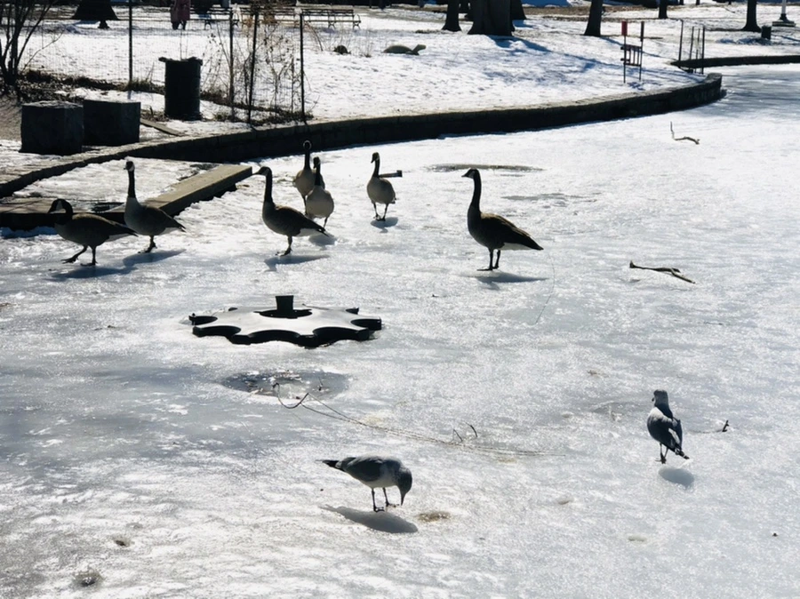 IMG_4968.jpg?type=w966