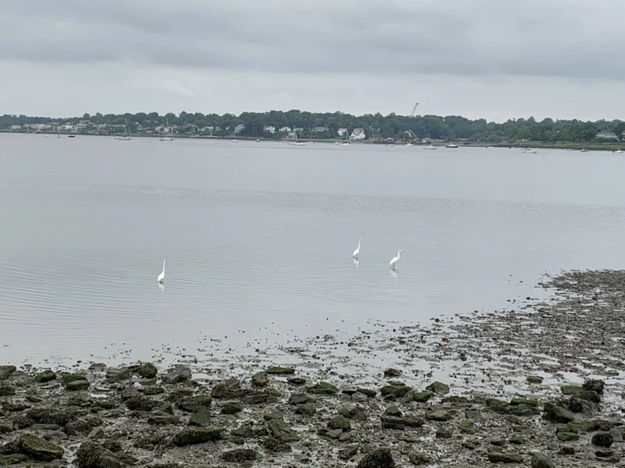 IMG_3666.jpg?type=w966