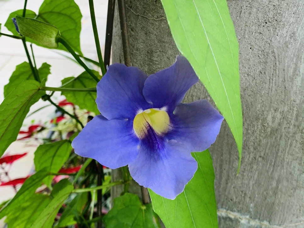 IMG_9369.jpg?type=w966