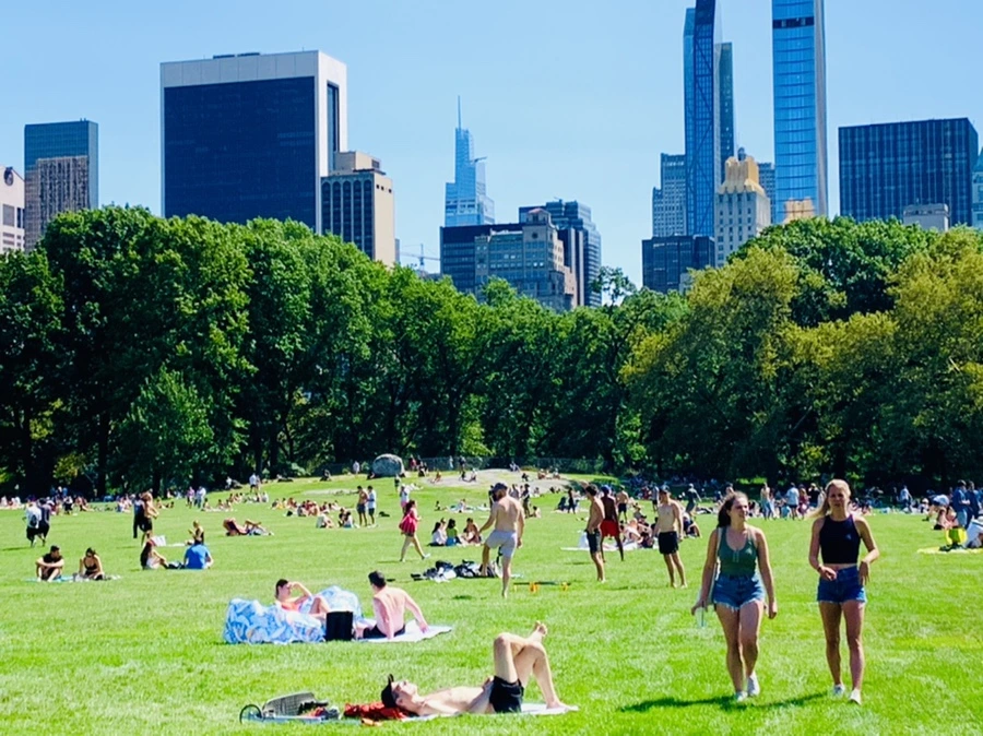 IMG_4392.jpg?type=w966