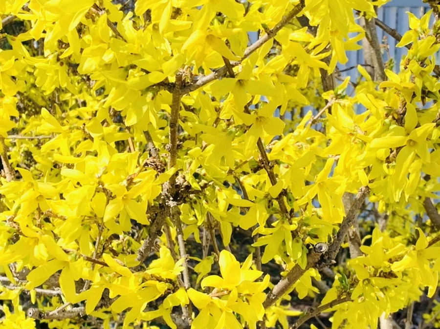 IMG_5715.jpg?type=w966