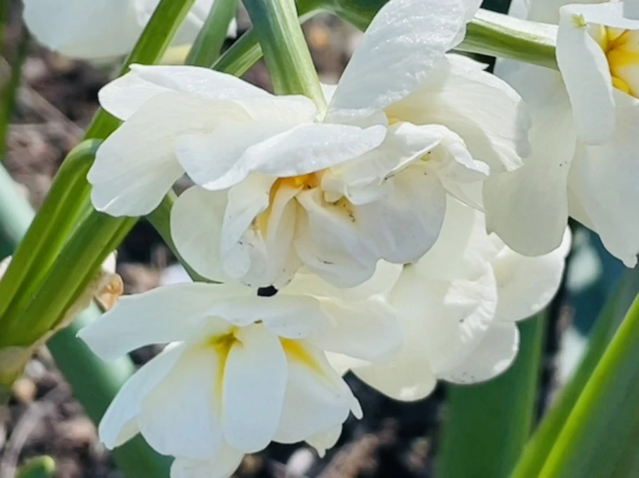 IMG_2006.jpg?type=w966