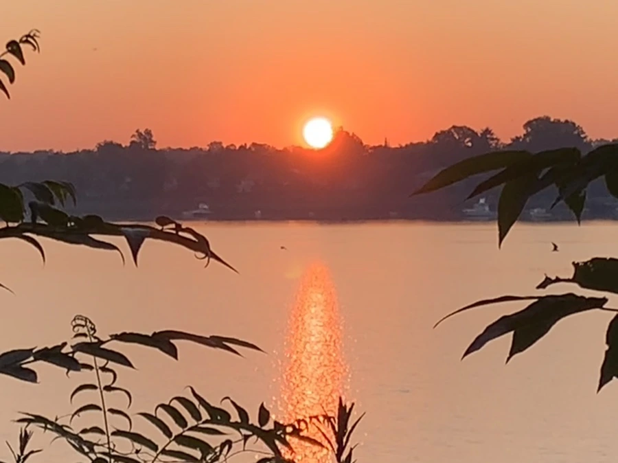 IMG_7189.jpg?type=w966